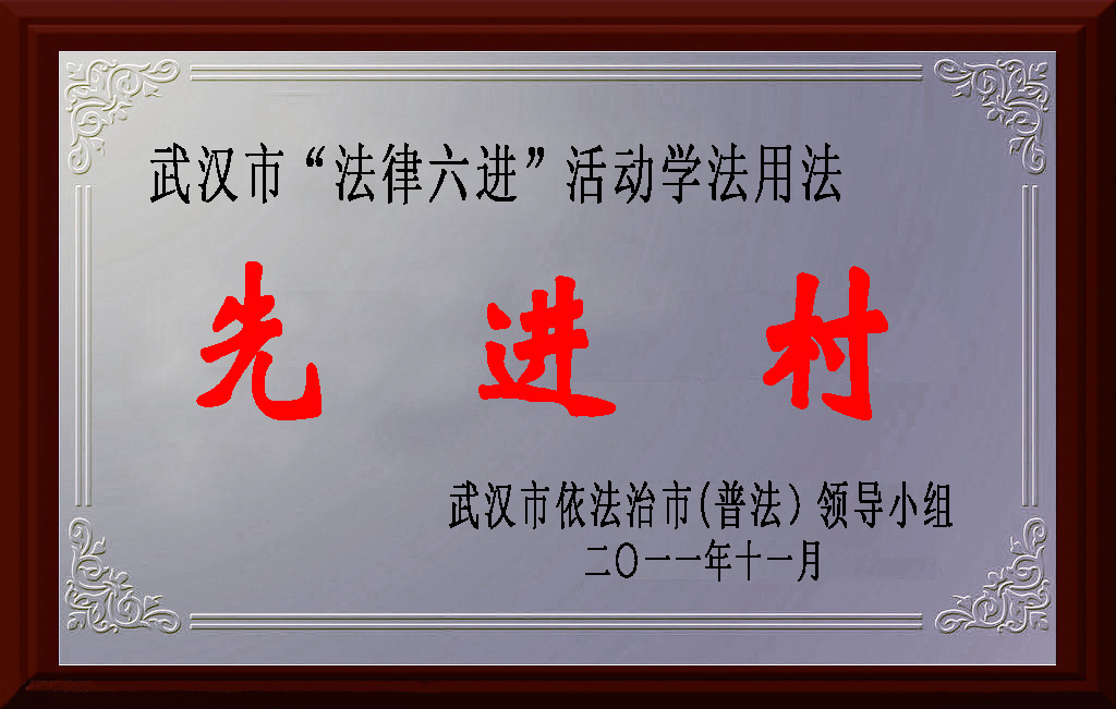 16  武汉市法律六进活动学法用法先进村.jpg